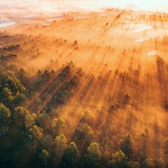 Lahemaa loodus, pildi autor Carl Martin Nisu